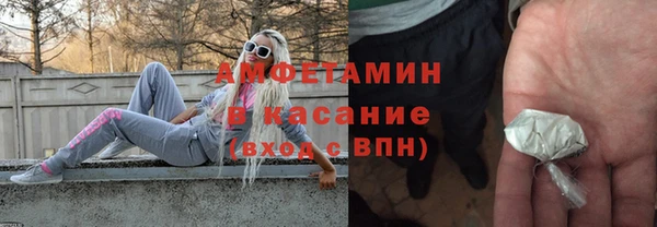 крисы Козловка