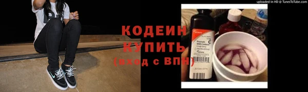 крисы Козловка