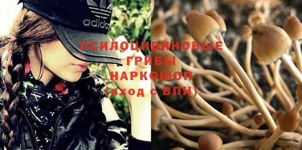 крисы Козловка