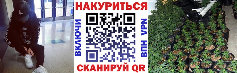 Купить  Донской  Конопля OG Kush 